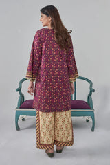2PC Stitched Printed Lawn Shirt and Trouser RKTW-3033 Printed KHAS STORES