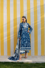 Denim Frost - D929